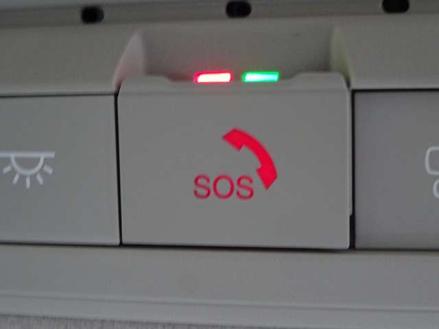 複数画像50