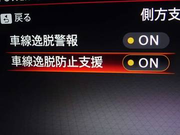 複数画像31