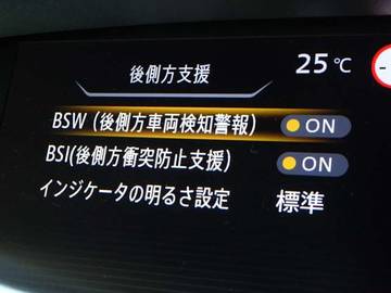 複数画像30