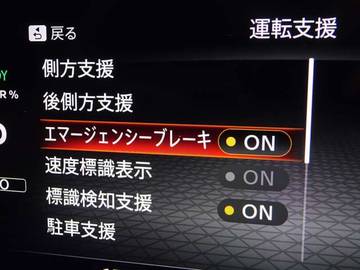 複数画像21