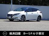 日産 リーフ e+ G メーカーSDナビ プロパイロット 被害軽減BK