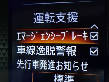 複数画像21