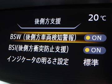 複数画像30