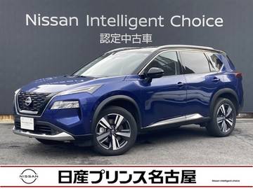 1.5 G e-4ORCE 4WD Pパイロット純正大型ナビ被害軽減　寒冷地