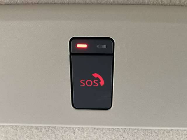 複数画像50