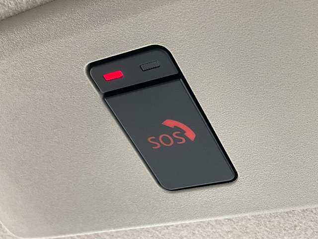 複数画像30