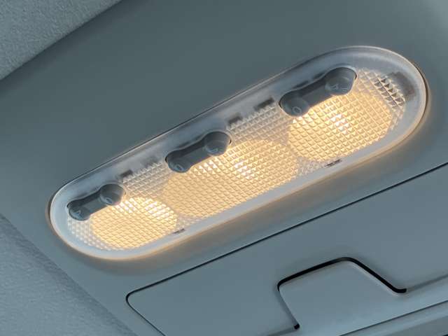 複数画像30