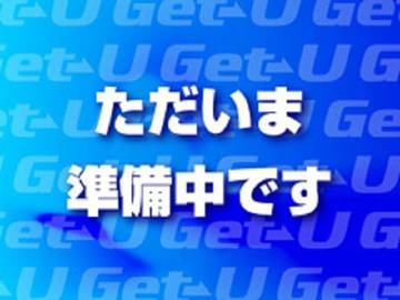 R.S.ライン イーテック マイルドハイブリッド ディスプレイオーディオ