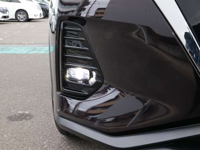 複数画像30