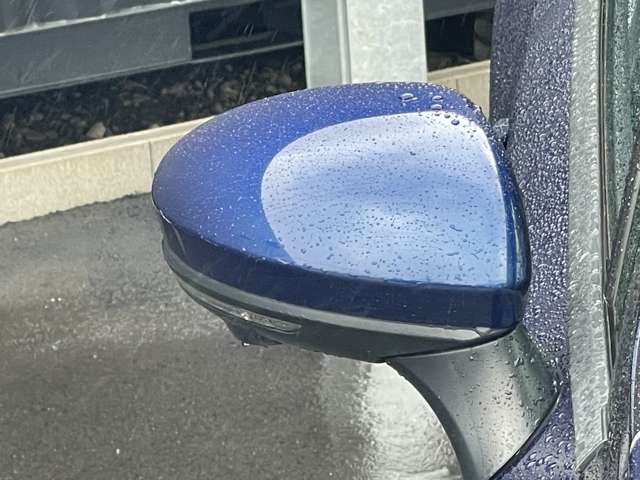 複数画像31