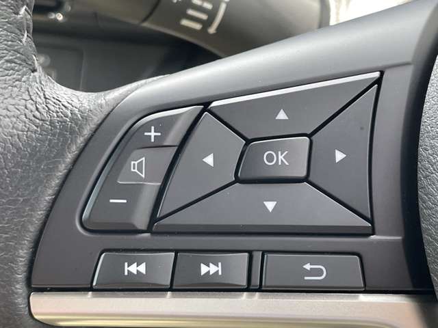 複数画像11