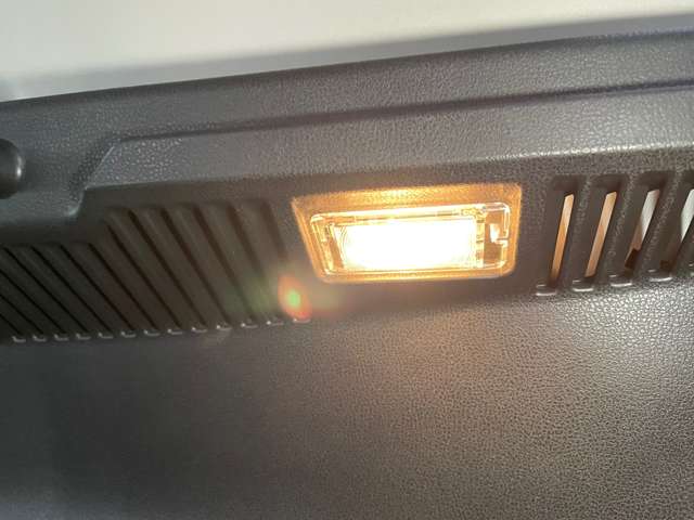 複数画像30