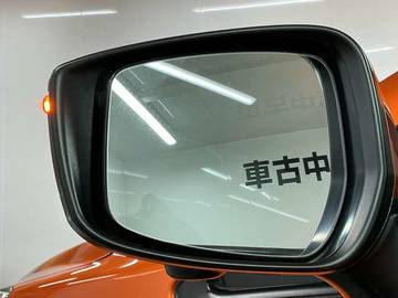 複数画像55