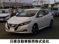 日産 リーフ e+ G プロパイロットパーキング　62KWH