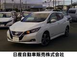 日産 リーフ e+ G プロパイロットパーキング　62KWH