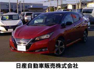 G プロパイロットパーキング