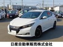 日産 リーフ e+ G プロパイロット　寒冷地仕様