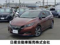 日産 リーフ e+ X 充電ケーブル　抗菌シート