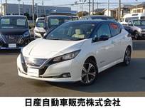 日産 リーフ e+ G プロパイロットパーキング