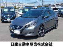日産 リーフ G プロパイロットパーキング