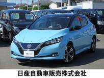 日産 リーフ e+ G プロパイロットパーキング