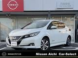 日産 リーフ e+ X コネクトナビ　プロパイロット　寒冷地仕様