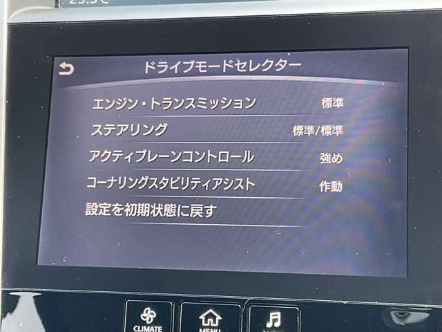 複数画像41