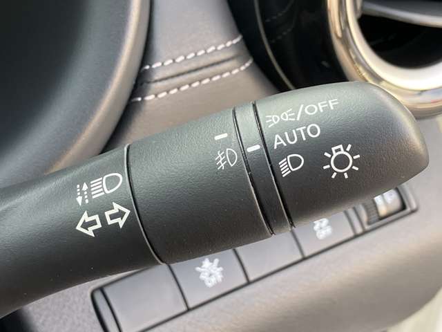 複数画像41