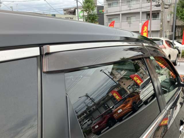 複数画像51