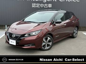 X Vセレクション プロパイロット・寒冷地仕様・後席ヒーター