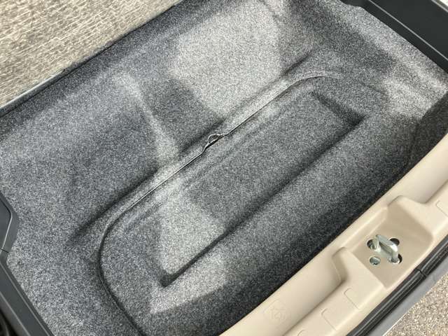 複数画像46