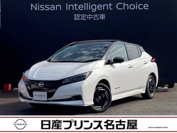 e+ X 60kWh　プロパイロット　全周囲カメラ