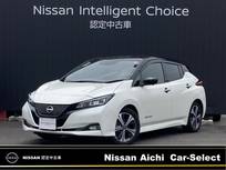 日産 リーフ X Vセレクション プロパイロット　全周囲カメラ　寒冷地