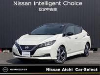 日産 リーフ X 12セグメント　プロパイロット