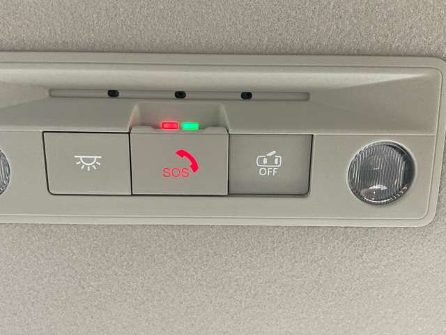 複数画像30