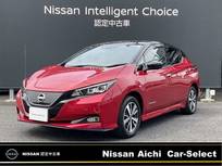 日産 リーフ e+ X プロパイロット 全周囲カメラ メーカーナビ