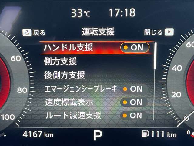 複数画像30