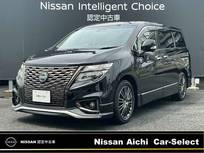 日産 エルグランド 2500cc 2.5 250ハイウェイスター プレミアム アーバンクロム 全周囲カメラ　純正ナビフルセグTV
