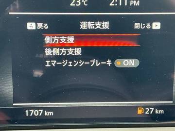 複数画像33