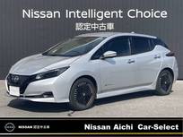 日産 リーフ X Vセレクション 日産コネクトナビ　全周囲カメラ