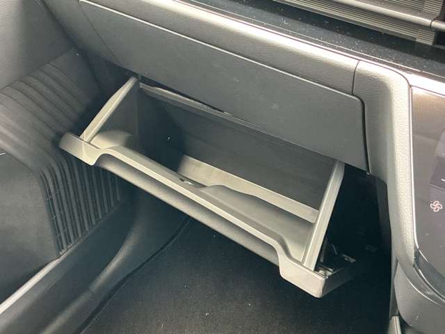 複数画像30