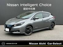 日産 リーフ X Vセレクション 日産コネクトナビ　TV　全周囲カメラ