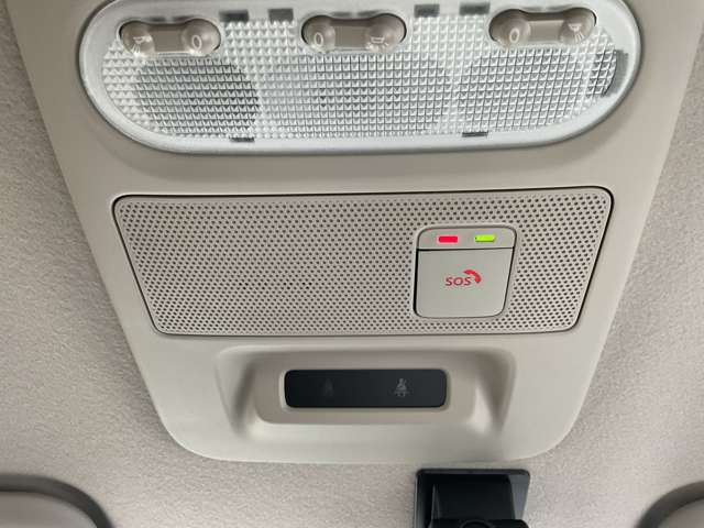 複数画像40
