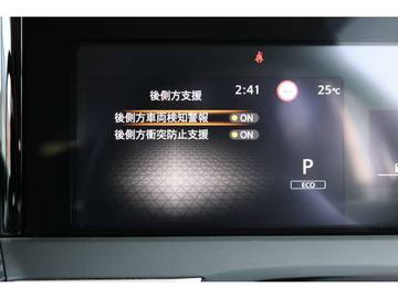複数画像31