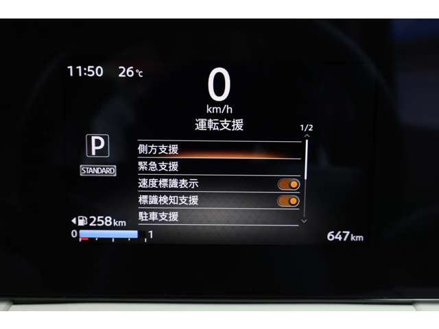複数画像31