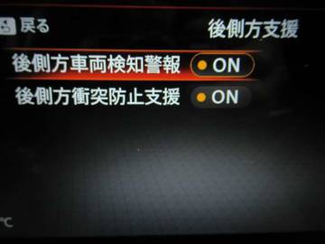 複数画像43