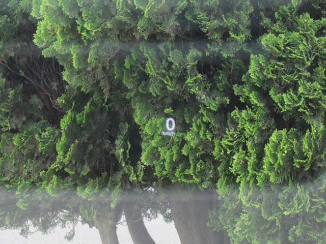 複数画像13