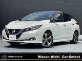 日産 リーフ X 10万台記念車 NissanConnectナビ・プロパイロット・バッ