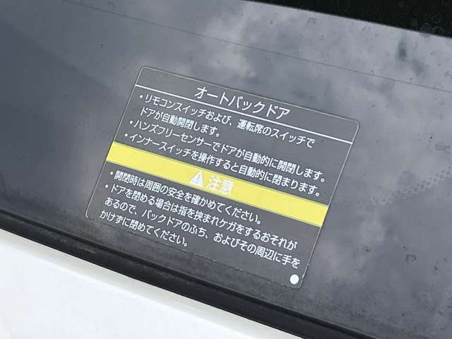 複数画像42