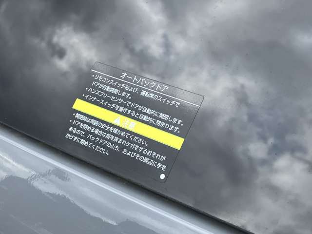複数画像51